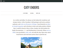 Tablet Screenshot of catyenders.com